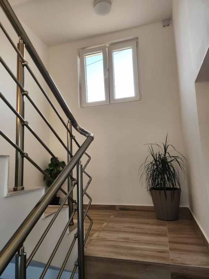 Apartments Wild Beauty - Krimovica Budva Ngoại thất bức ảnh
